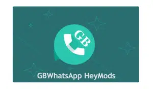 Heymods GB WhatsApp 12.00 5